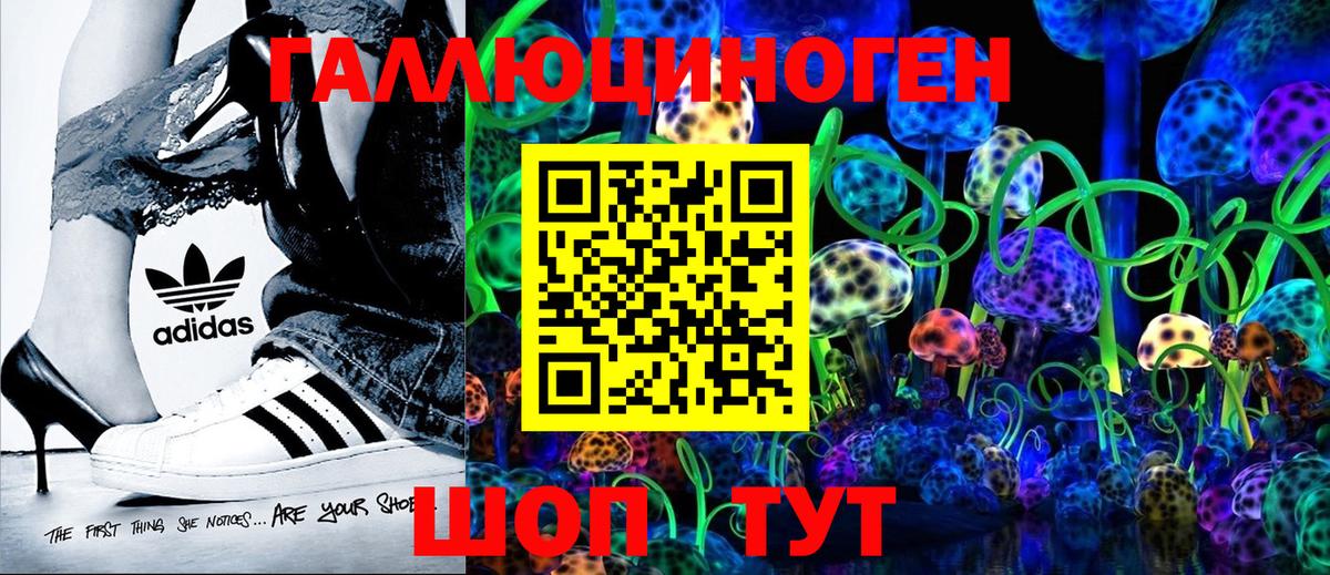 Псилоцибиновые грибы Psilocybe  Вход с VPN  Хасавюрт 
